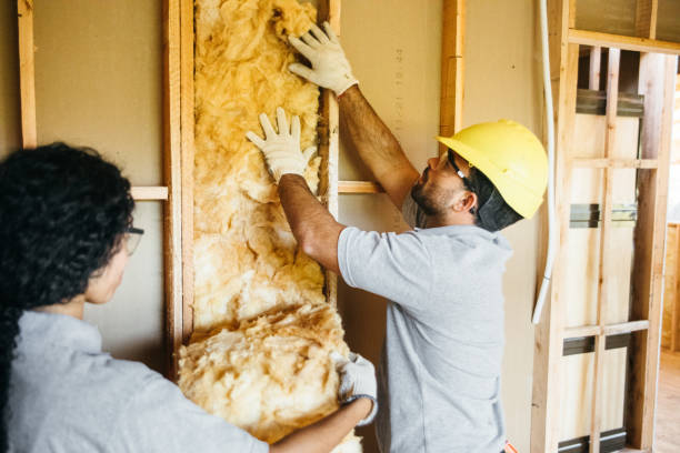 Best Insulation Removal Services  in Yellville, AR